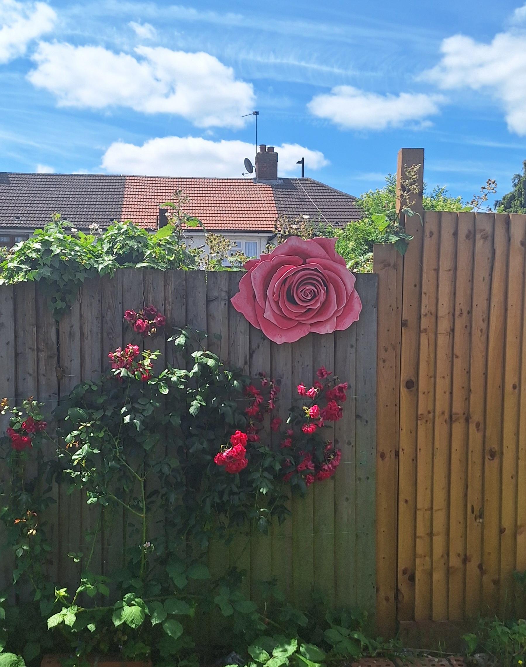 BUNCH OF FLOWERS - Image 9